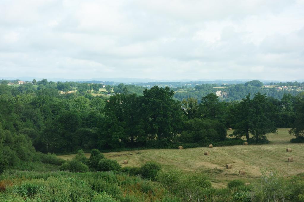Domaine De Romefort Saint Leonard de Noblat Ruang foto