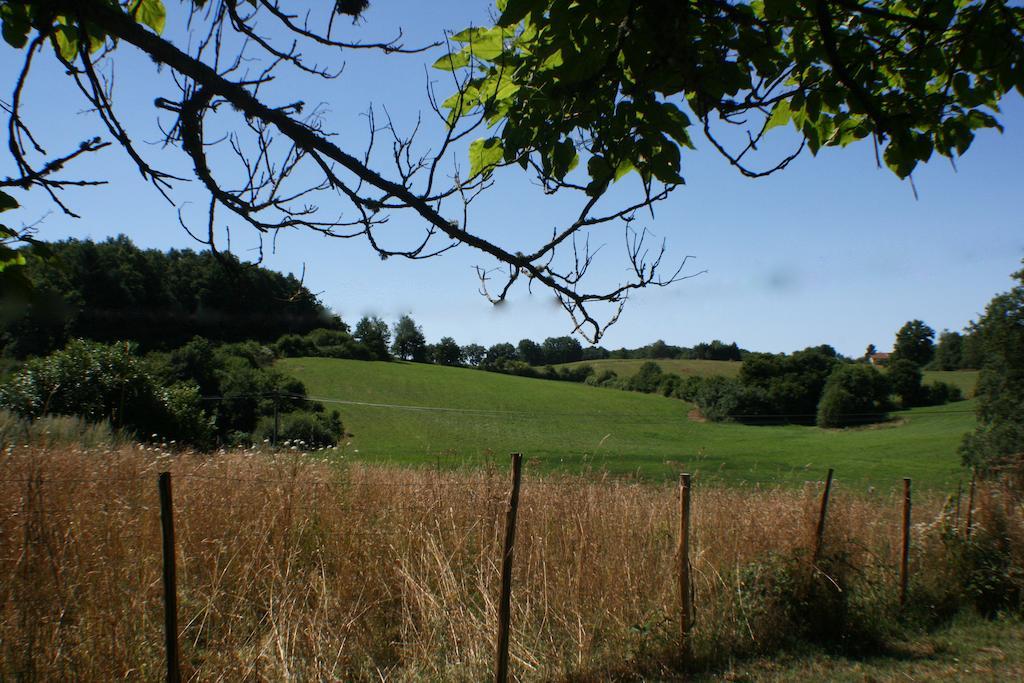 Domaine De Romefort Saint Leonard de Noblat Bagian luar foto