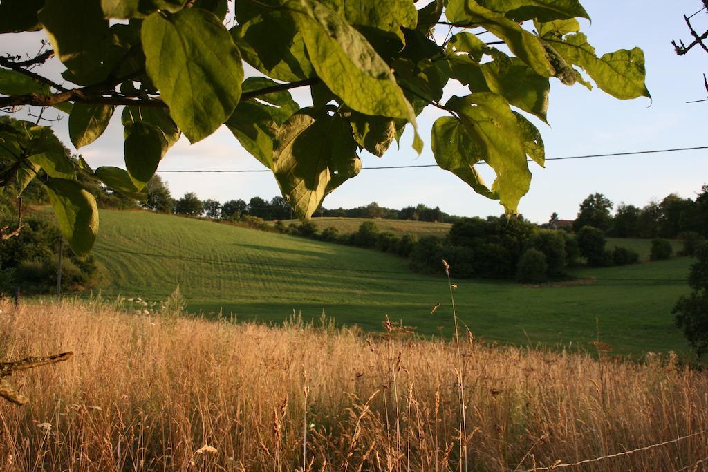 Domaine De Romefort Saint Leonard de Noblat Ruang foto