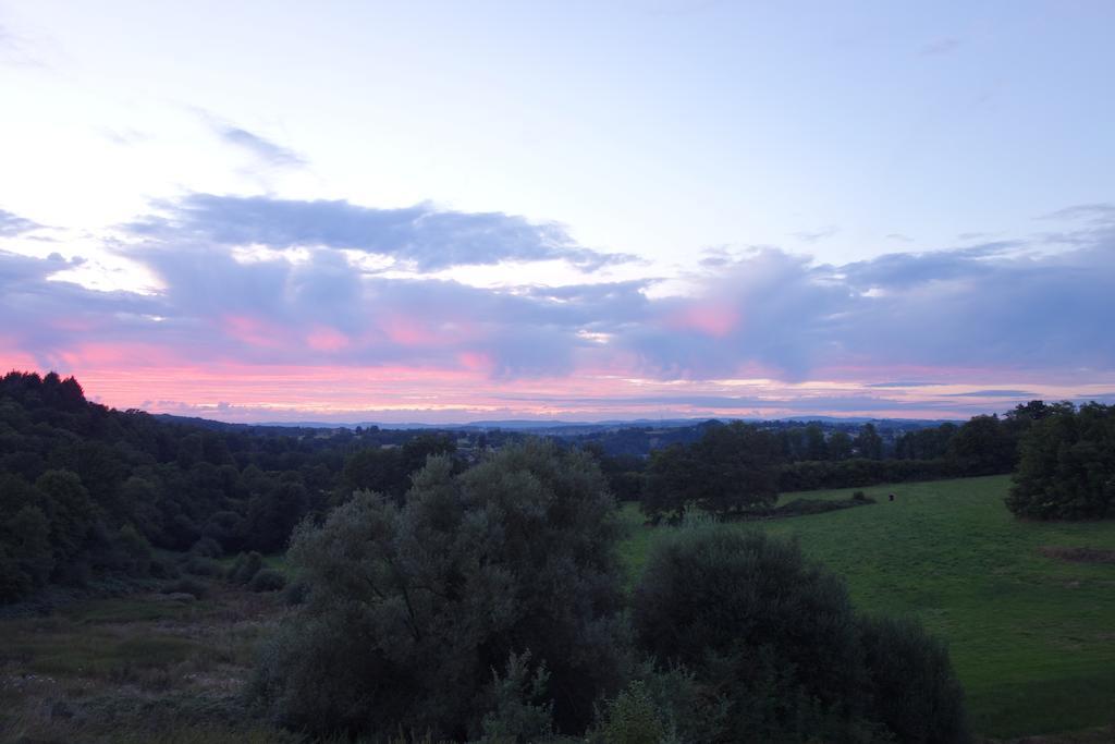 Domaine De Romefort Saint Leonard de Noblat Ruang foto