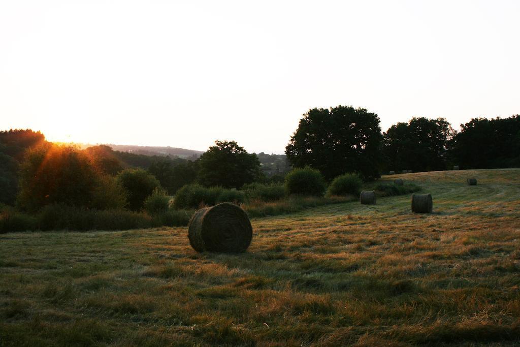 Domaine De Romefort Saint Leonard de Noblat Ruang foto