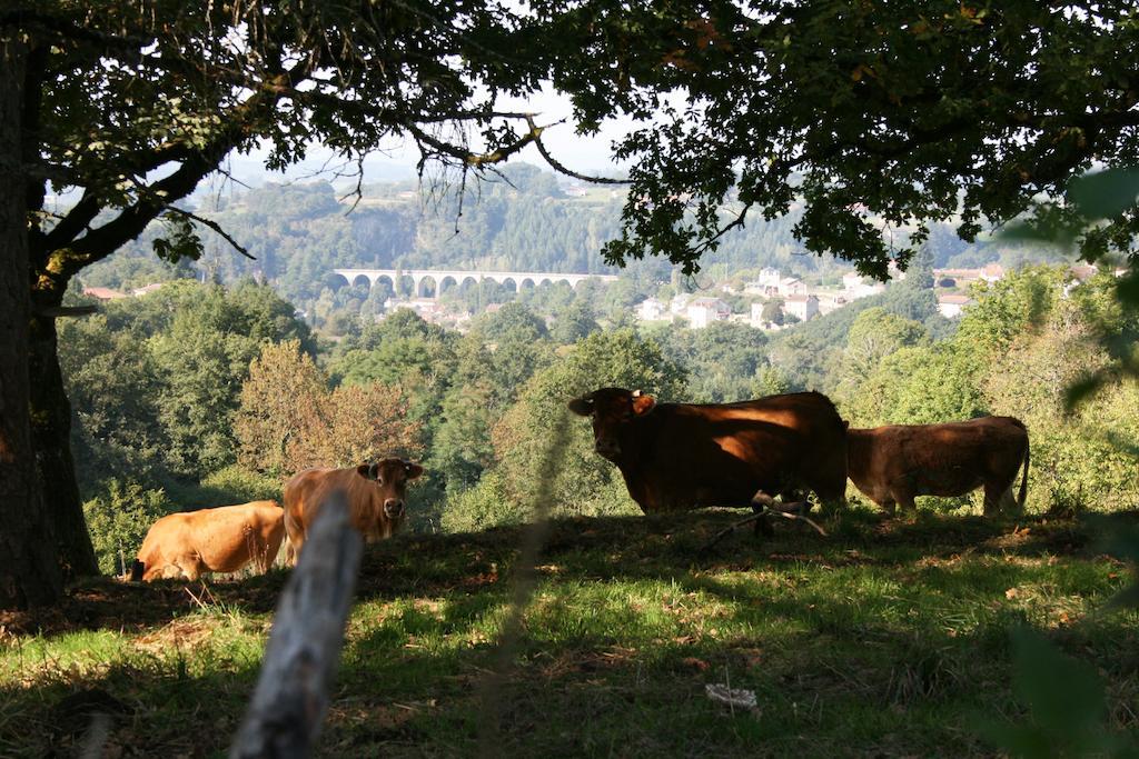 Domaine De Romefort Saint Leonard de Noblat Ruang foto